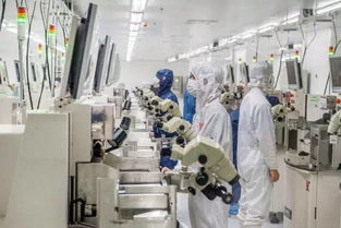 省委書記與省長親臨湖頭光電園指導工作，園區發展成就矚目